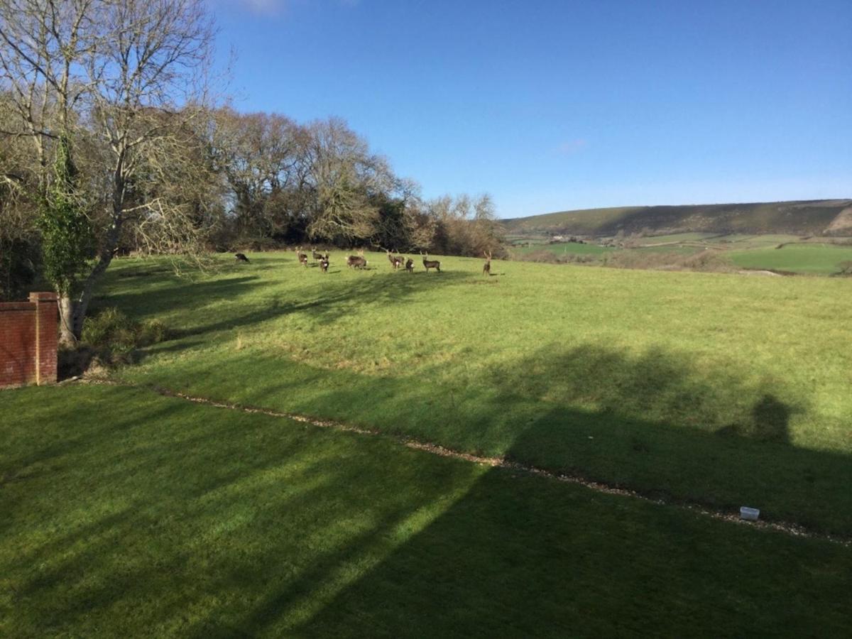 Yards Brake On 40 Acres Of Private Land Villa Langton Matravers Exterior photo